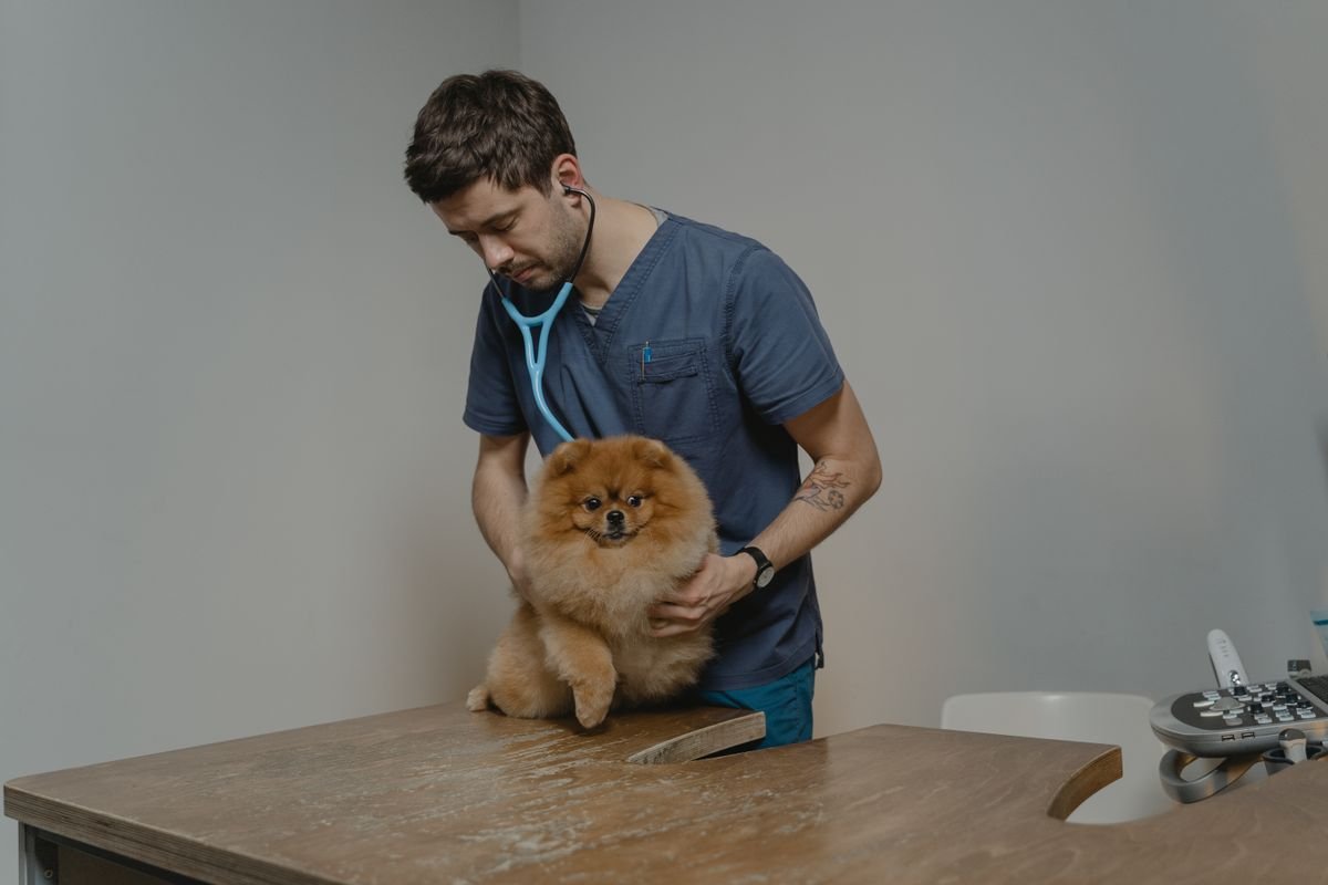Thiết bị thú y